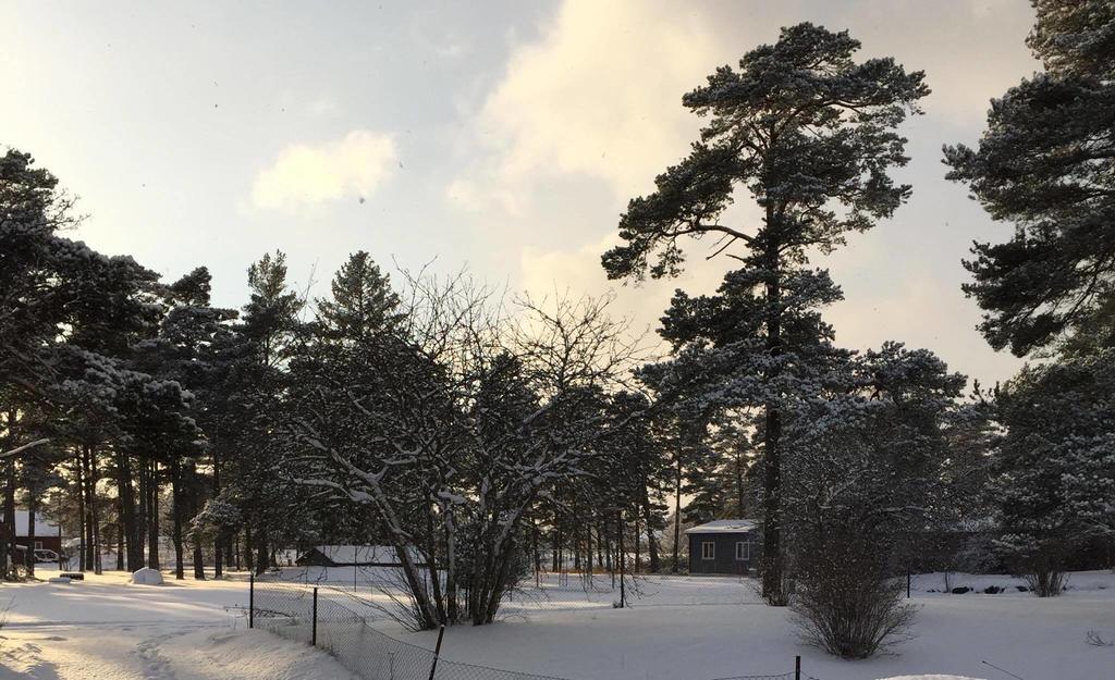 Stf Hostel Laerbro/Grannen Kültér fotó